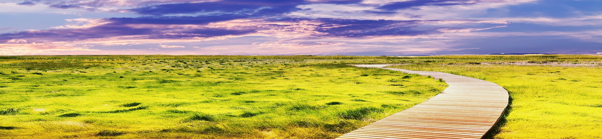 A winding wooden boardwalk through green marshland under a dramatic sky
